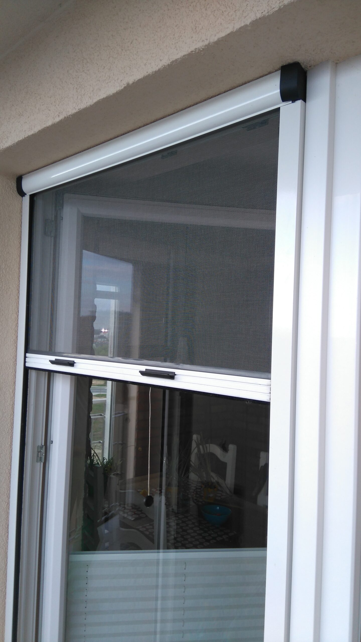 moskitiery rolowane (3)